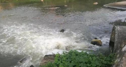 资料图：市污水处理厂大量污水溢流至萍水河。 图片来源：生态环境部